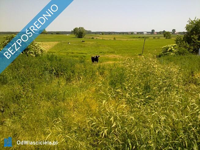 siedlisko blisko jeziora, możliwa zamiana