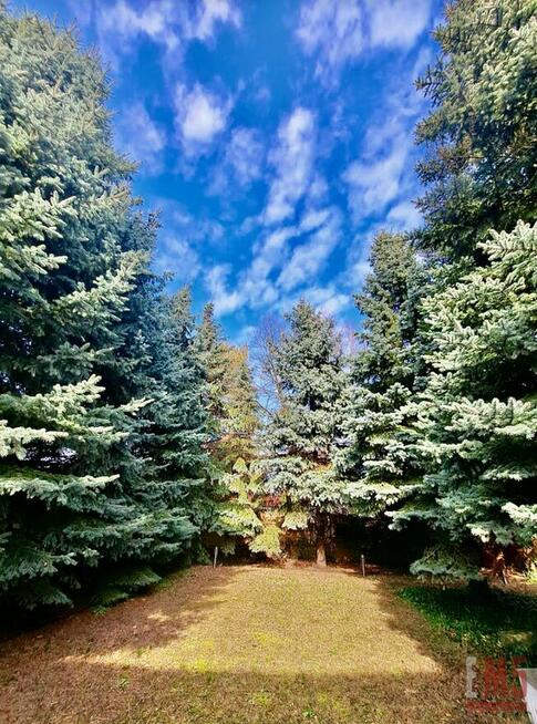 Lokal użytkowy Reguły gm. Michałowice