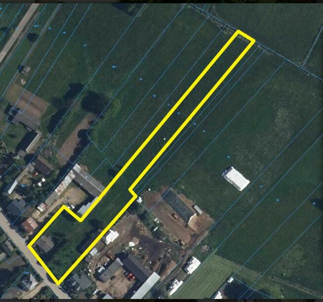 Siedlisko, w okolicy jezioro i las