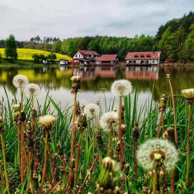 Kompleks wypoczynkowo-rekreacyjny, restauracja, łowisko