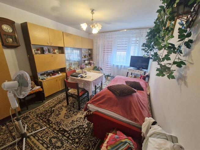 Osiedle Młodych/2 oddzielne pokoje/ obok szkoły