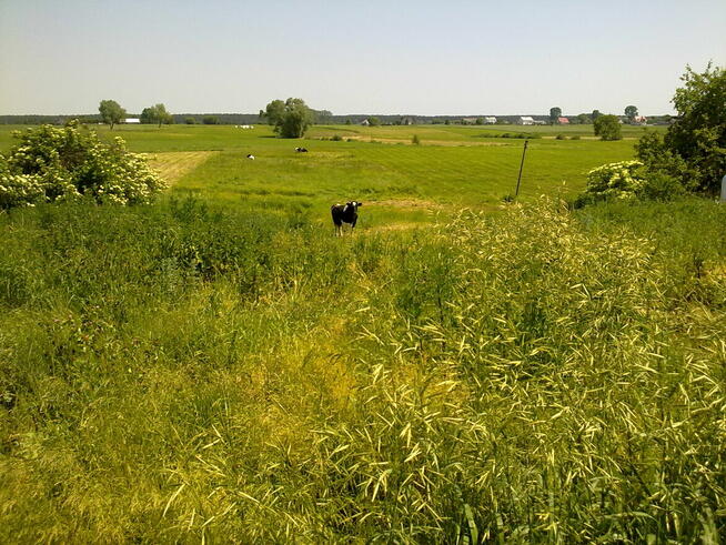 Siedlisko, dom na wsi zamienię na działkę budowlaną w Ełku