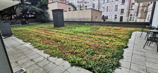 kawalerkę w nowym apartamentowcu Poznań Wilda ul.Kosińskiego