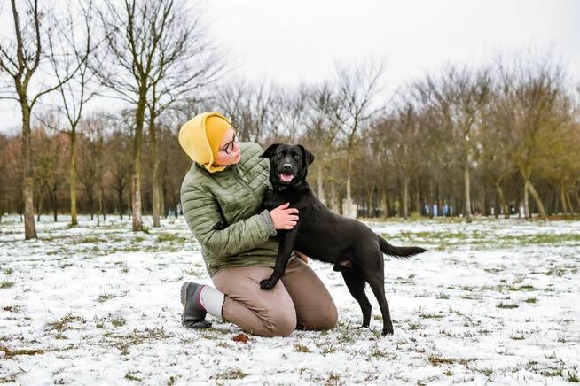 Blant - średniej wielkości, aktywny mlody pies do adopcji