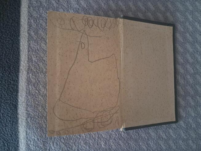 Książka – słownik rosyjsko-polski, do sprzedania