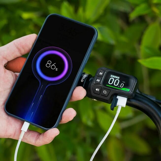 NOWOŚĆ Fiido C11 Pro miejski ebike 250W 48V 10.4Ah do 104KM