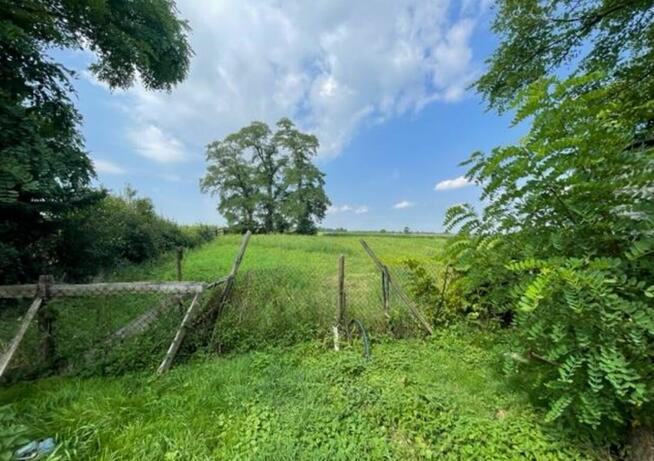 2 mieszkania+budynki gosp.+działka na sprzedaż