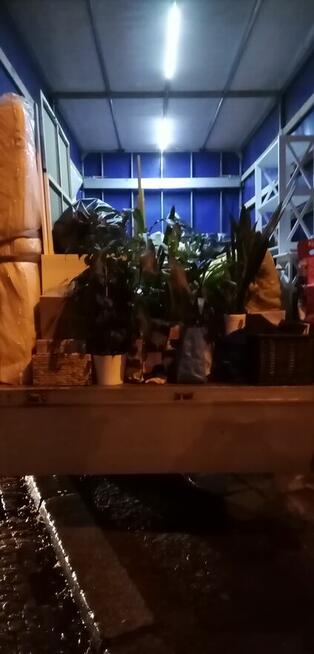 Przeprowadzki Transport Fortepianów Pianin Mebli