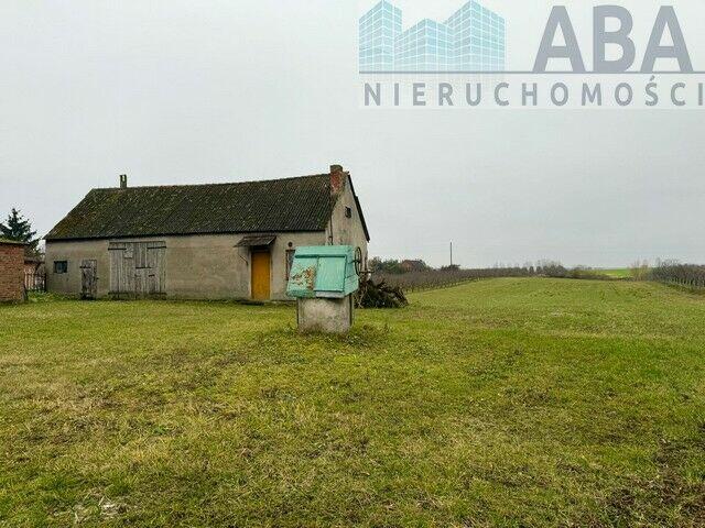 Budynki z dużą działką