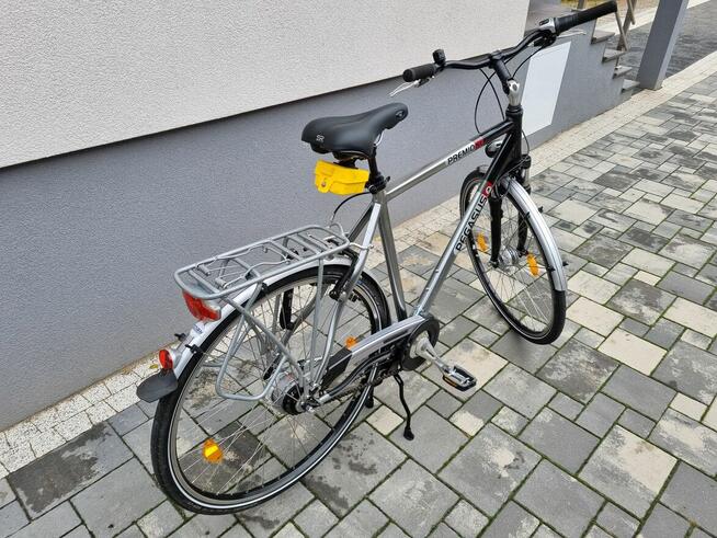 Rower Pegasus SL premio