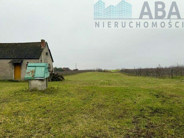 Budynki z dużą działką