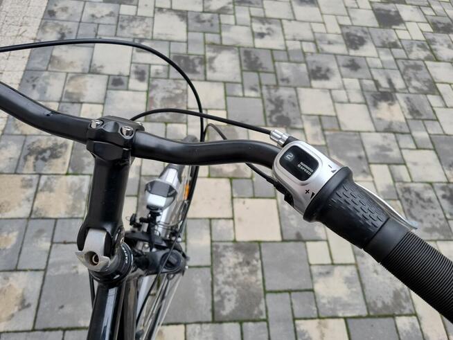 Rower Pegasus SL premio