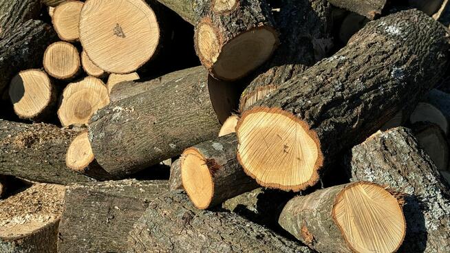 DREWNO do kominka, opał różne rodzaje TANIO + dostawa drewna