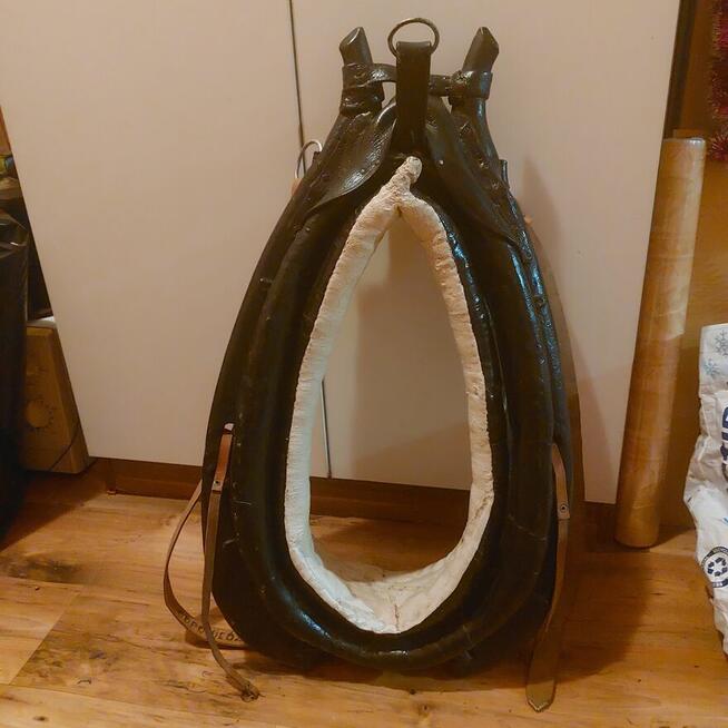 Sprzedam chomąto dla konia.