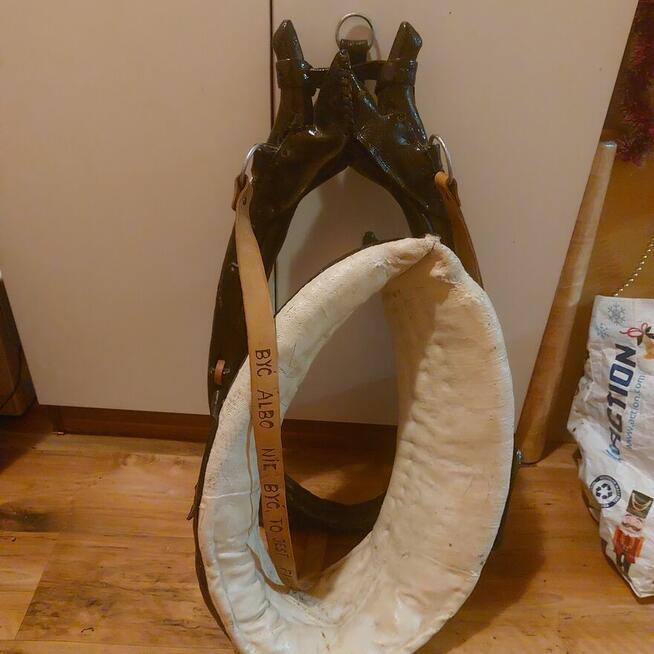 Sprzedam chomąto dla konia.