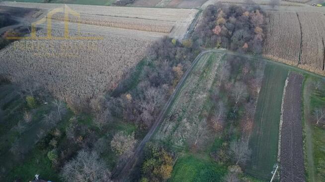 działka 7ar =27.700zł. rekreacyjna, TrojanowiceZIELONKI