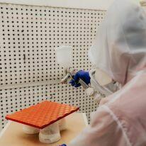 Stolarz z doświadczeniem, kierownik stolarni , brygadzista