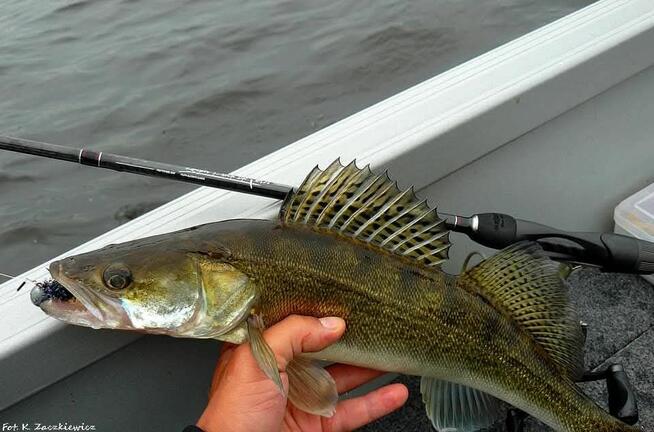 WĘDKA MIKADO KAMISORI ZANDER 214CM 22g 1sec.