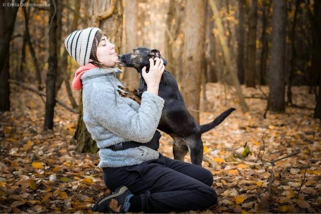 Szagarek- psiak z uroczym wystającym ząbkiem czeka na dom