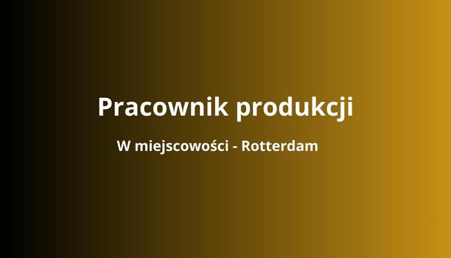 Pracownik produkcji w Holandii