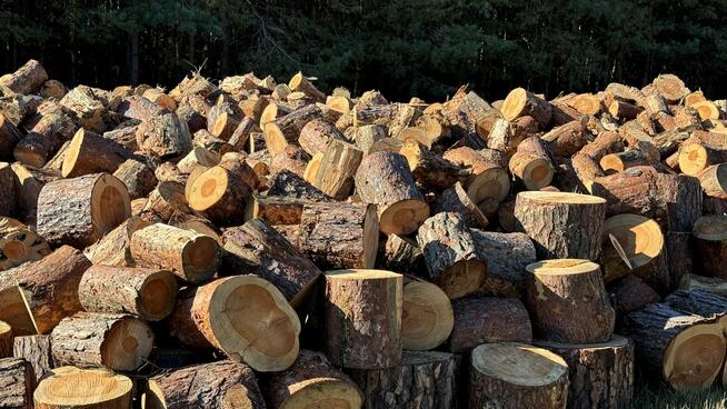 DREWNO do kominka, opał różne rodzaje TANIO + dostawa drewna