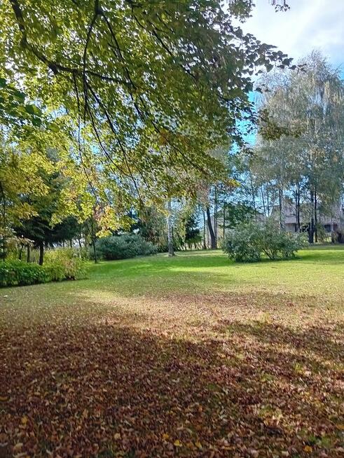 Sprzedam działkę 22 ary.