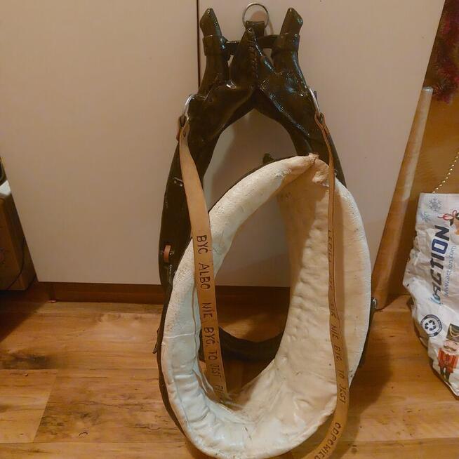 Sprzedam chomąto dla konia.