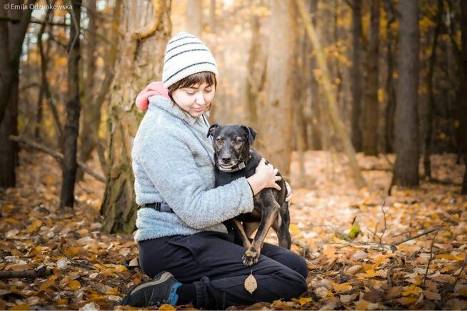 Szagarek- psiak z uroczym wystającym ząbkiem czeka na dom