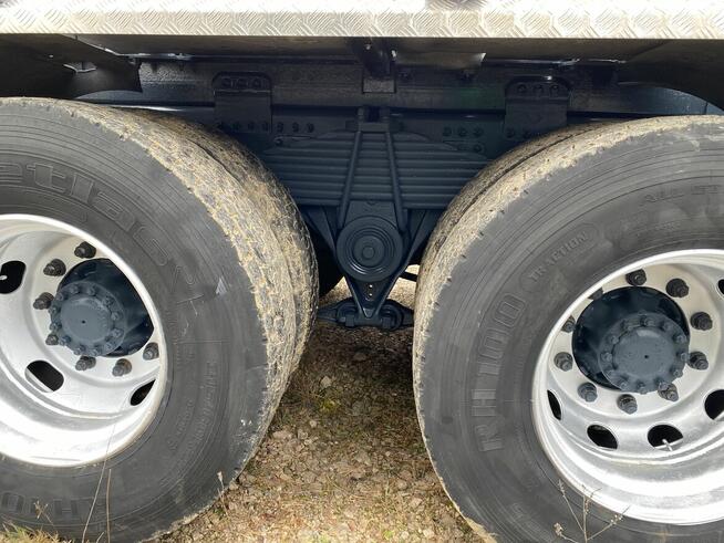 Do drzewa drewna lasu