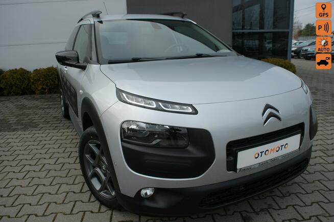 Citroen C4 Cactus Pierwsza-rej 2017