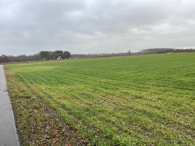 Działka 5520 m2 z WZ w Babinie gm. Przyłęk.