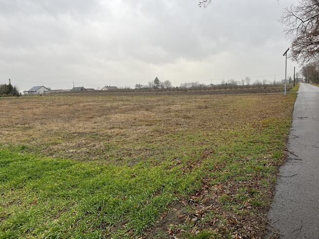 Działka 5520 m2 z WZ w Babinie gm. Przyłęk.