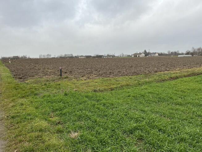 Działka 5520 m2 z WZ w Babinie gm. Przyłęk.