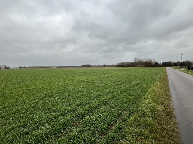 Działka 5520 m2 z WZ w Babinie gm. Przyłęk.