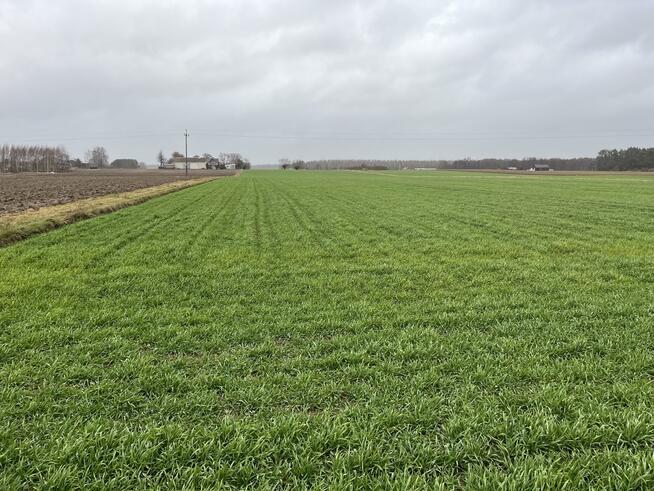 Działka 5520 m2 z WZ w Babinie gm. Przyłęk.