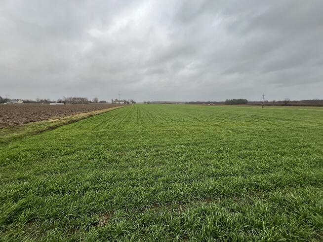 Działka 5520 m2 z WZ w Babinie gm. Przyłęk.