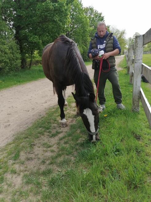 Poznam kobietę 50+,60+ do miłych spoktań