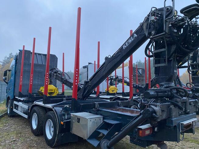 Do drzewa drewna lasu