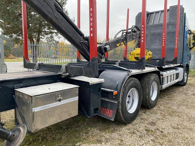 Do drzewa drewna lasu