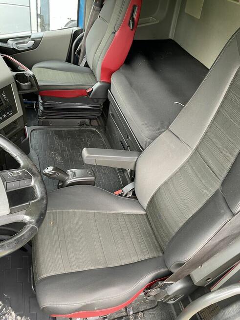 Do drzewa drewna lasu