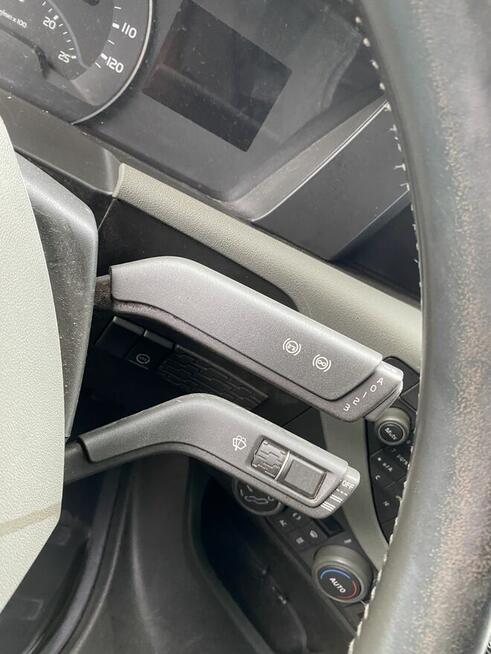 Do drzewa drewna lasu