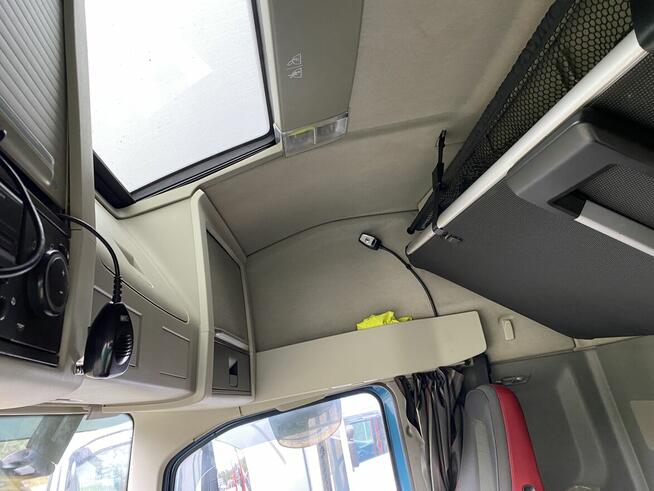 Do drzewa drewna lasu