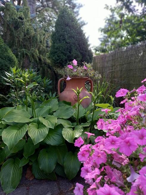 *Działka ROD* Zalesiany Niewodnica Kościelna