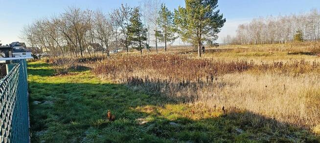Działka Budowlana w Pogórskiej Woli 10 ar