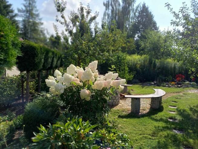 *Działka ROD* Zalesiany Niewodnica Kościelna