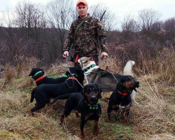 GOŃCZE POLSKIE reproduktory użytkowe zapraszają