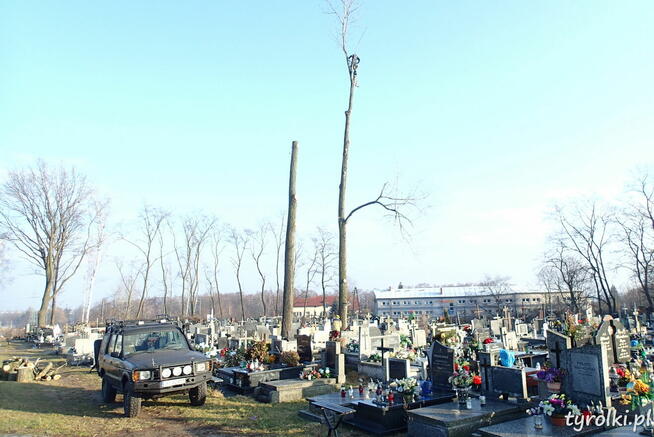 Alpinistyczna Wycinka Drzew w miejscach trudno dostępnych