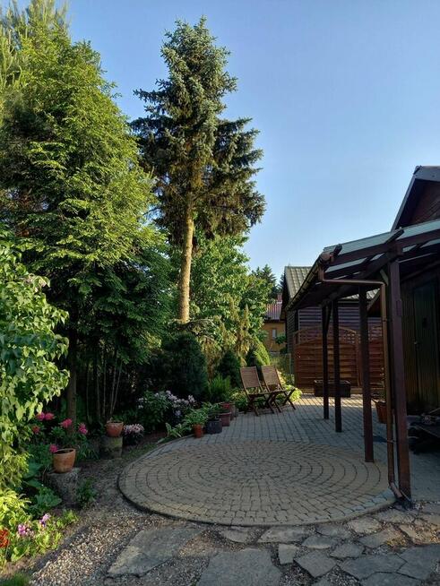 *Działka ROD* Zalesiany Niewodnica Kościelna