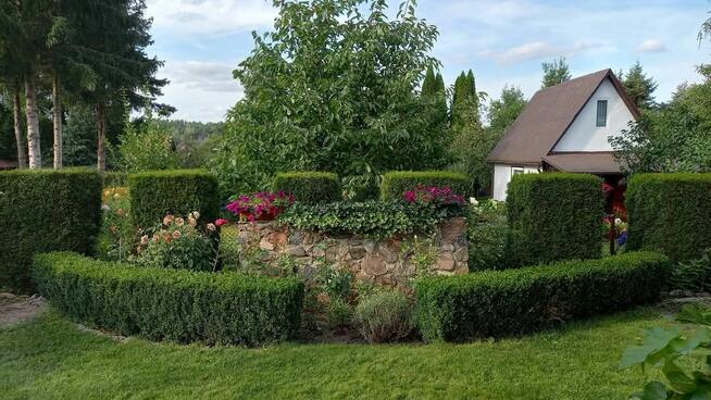 *Działka ROD* Zalesiany Niewodnica Kościelna