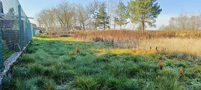 Działka Budowlana w Pogórskiej Woli 10 ar